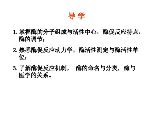 酶 教学PPT