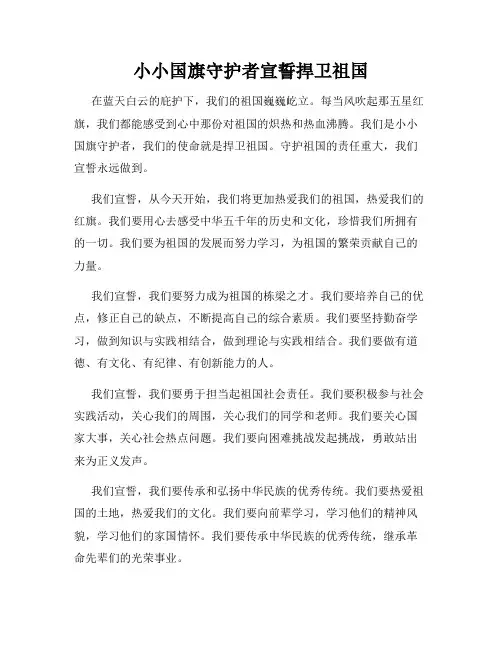 小小国旗守护者宣誓捍卫祖国