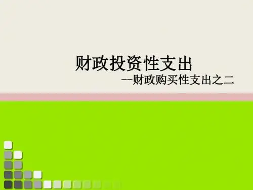 财政投资性支出