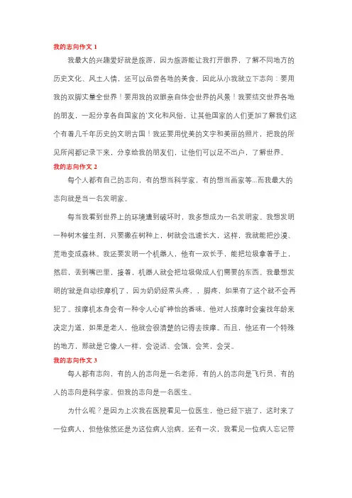介绍自己有志向的作文