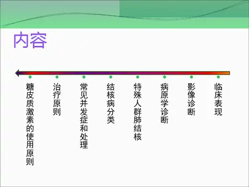 肺结核诊治指南ppt课件