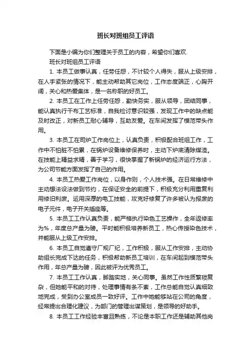 班长对班组员工评语