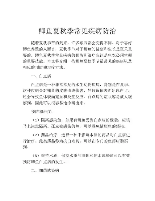 鲫鱼夏秋季常见疾病防治