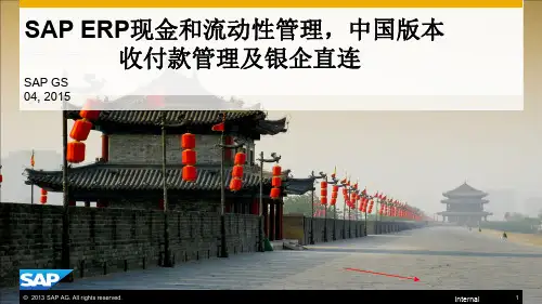 04_SAP资金管理解决方案-收付款管理和银企直连