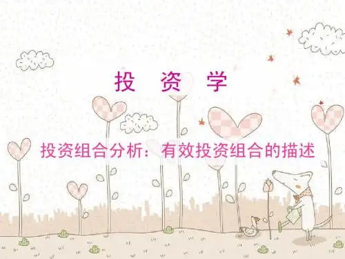 投资学5.资产组合理论