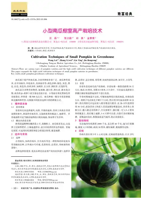 小型南瓜棚室高产栽培技术