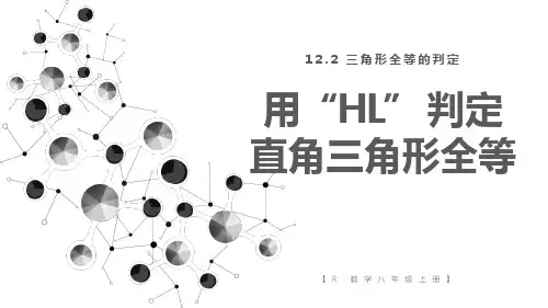 人教版八年级上册数学12.2三角形全等的判定第4课时用“HL”判定直角三角形全等课件