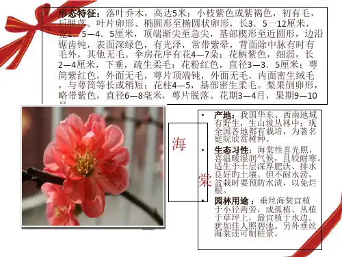 江西师大植物大致概况