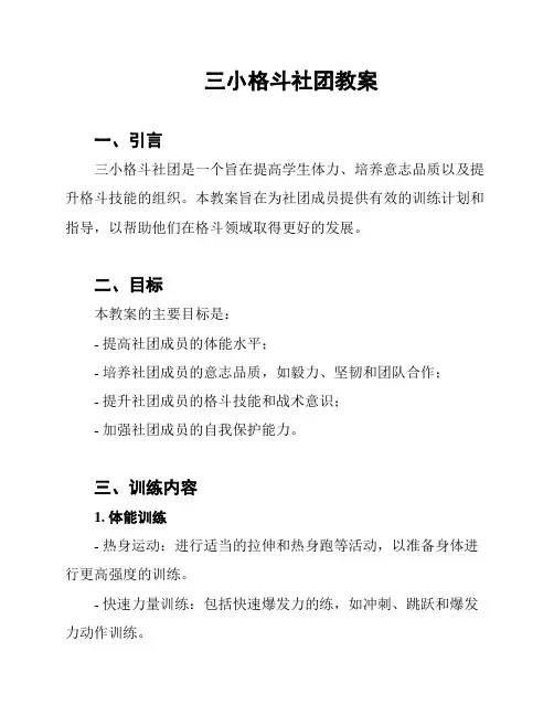 三小格斗社团教案
