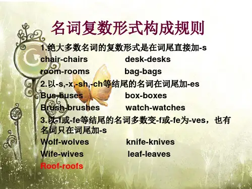 名词复数形式构成规则