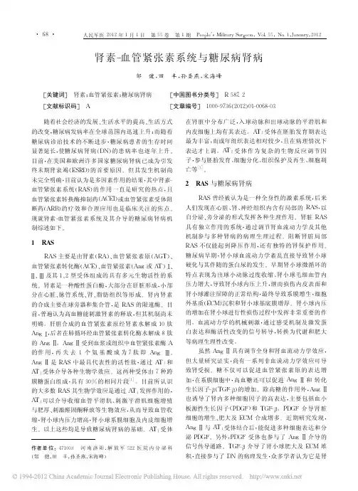 肾素_血管紧张素系统与糖尿病肾病_邹健
