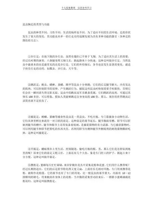 昆虫胸足的类型与功能