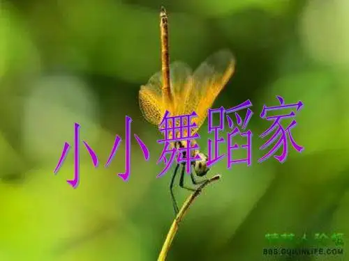 人教版小学二年级语文下册10.葡萄沟 ppt课件