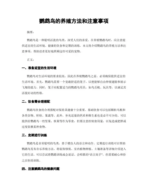 鹦鹉鸟的养殖方法和注意事项