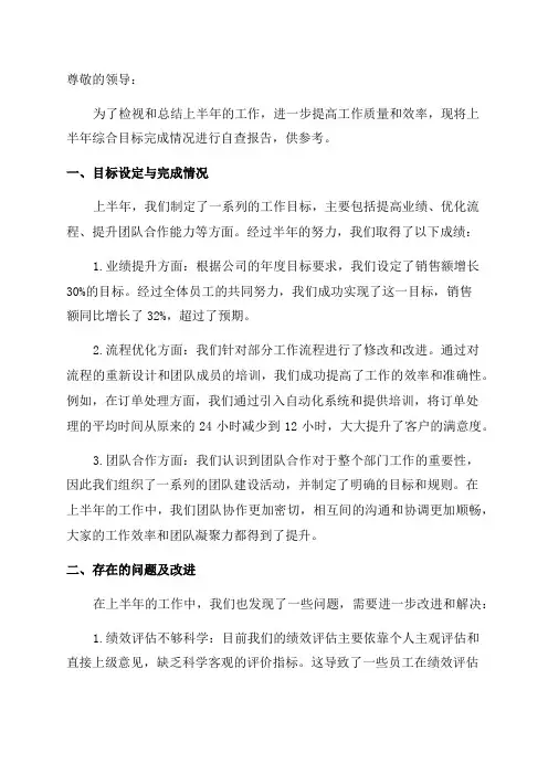 上半年综合目标完成情况自查报告