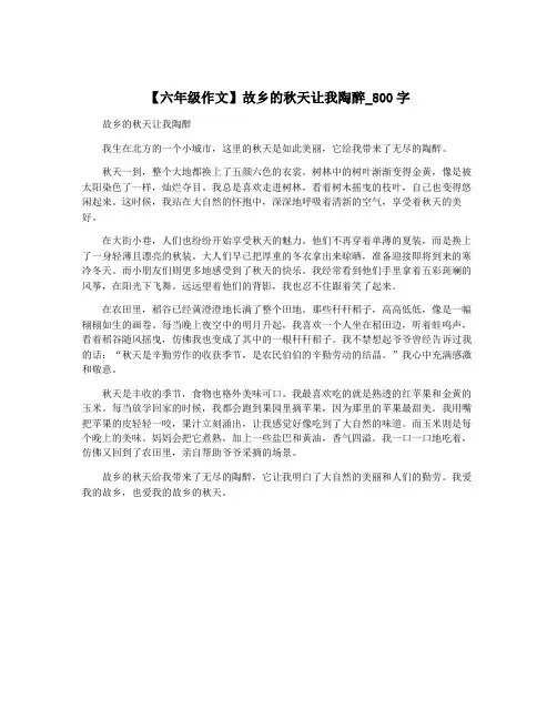 【六年级作文】故乡的秋天让我陶醉_800字