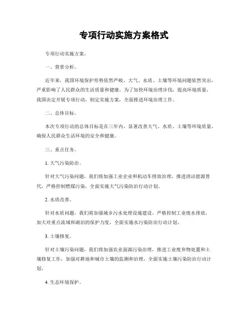 专项行动实施方案格式