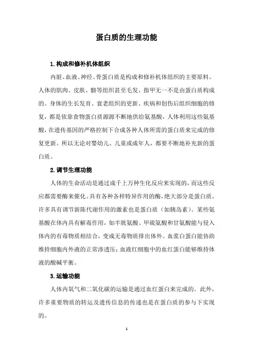 蛋白质的生理功能