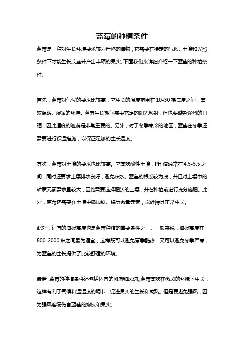 蓝莓的种植条件