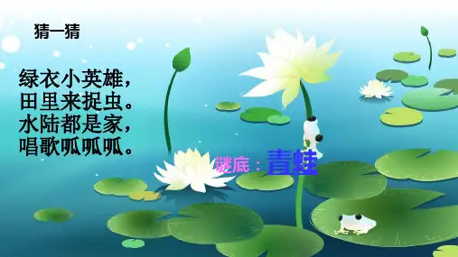 部编版课件《青蛙写诗》实用ppt1