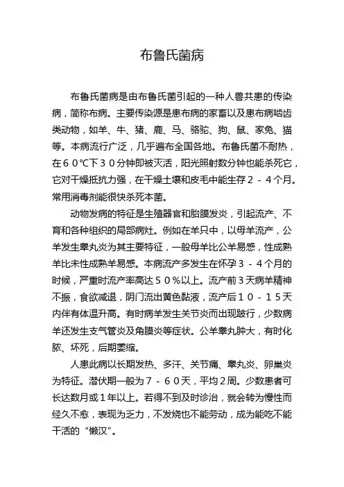 布鲁氏菌病