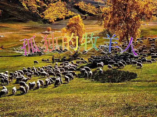 三年级下册音乐孤独的牧羊人人音版(五线谱)