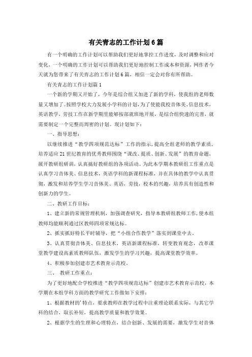 有关青志的工作计划6篇