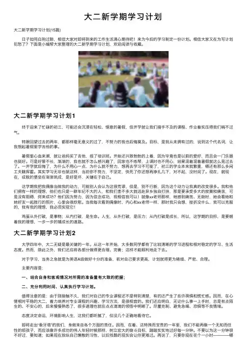 大二新学期学习计划