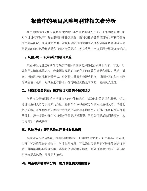 报告中的项目风险与利益相关者分析