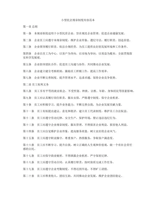 小型民企规章制度内容范本