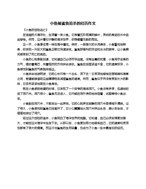 小鱼被鲨鱼追杀的经历作文