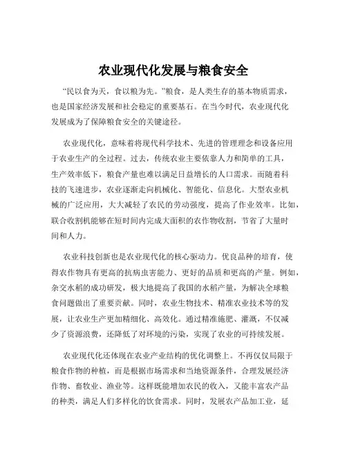 农业现代化发展与粮食安全