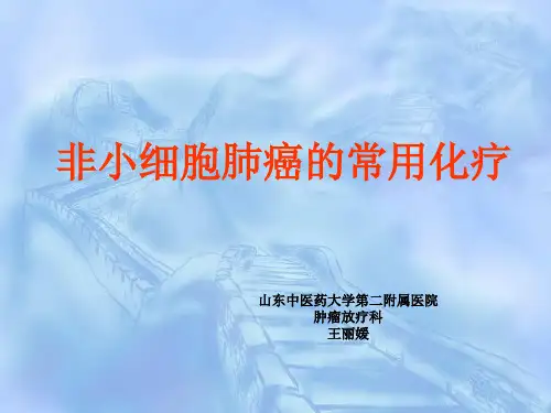 非小细胞肺癌常用化疗方案