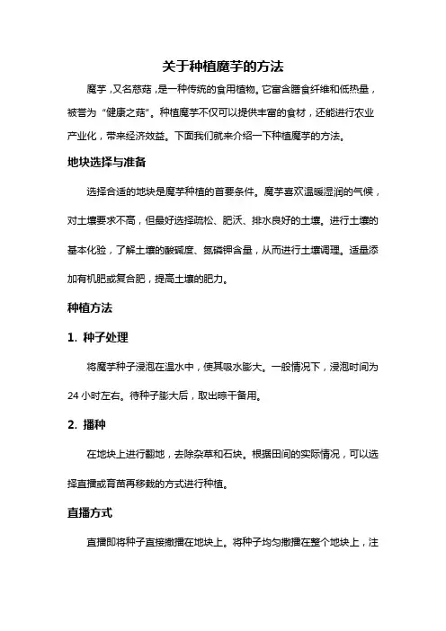 关于种植魔芋的方法