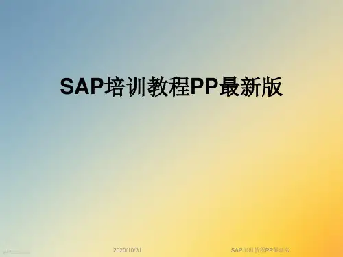 SAP培训教程PP最新版