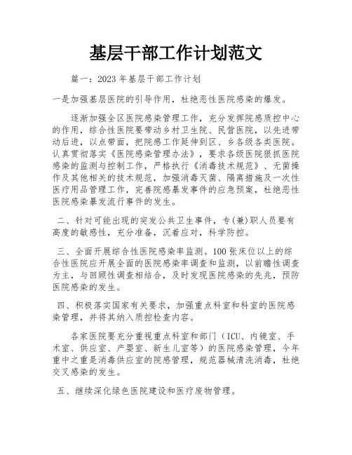 基层干部工作计划范文