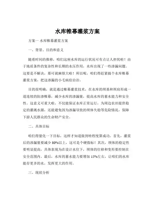 水库帷幕灌浆方案