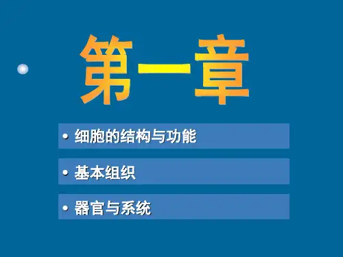 动物体基本构成(精品课件)