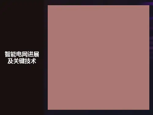 智能电网进展及关键技术