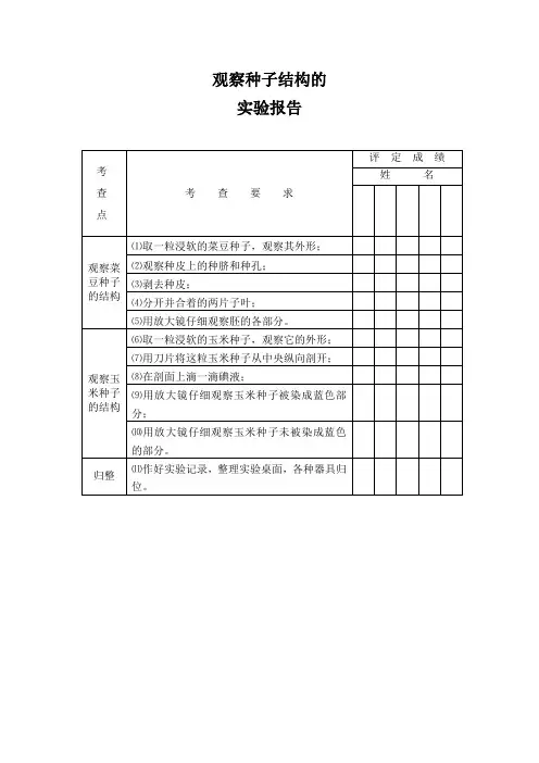 观察种子结构的实验报告