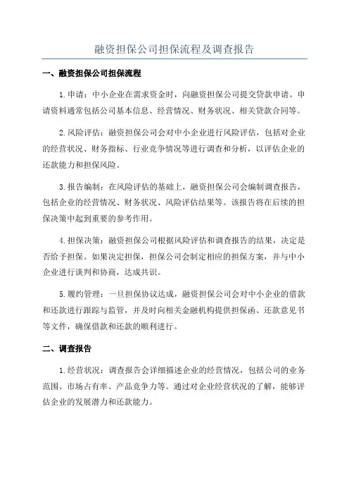 融资担保公司担保流程及调查报告