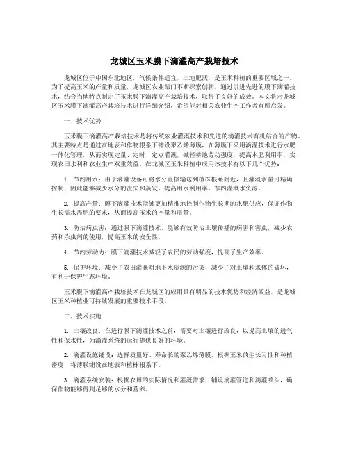 龙城区玉米膜下滴灌高产栽培技术
