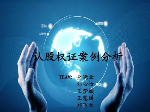金融工程案例——认股权证——双修18组