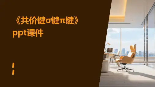 《共价键σ键π键》课件