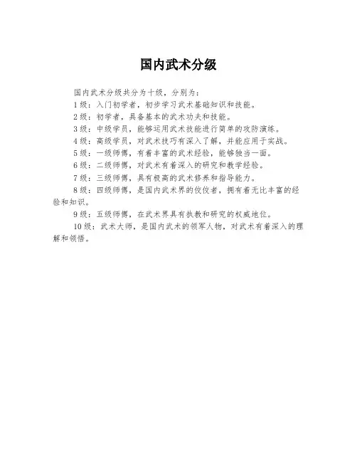 国内武术分级