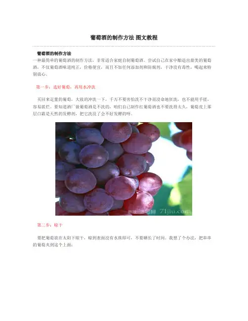 葡萄酒的制作方法 图文教程