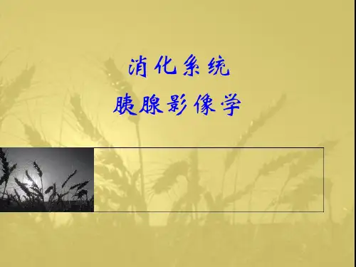 医学影像学-胰腺