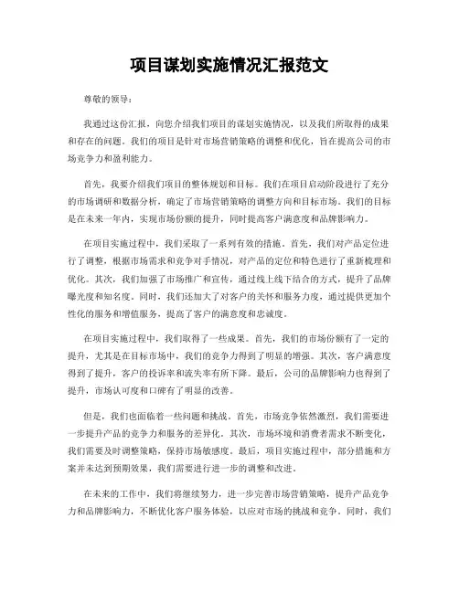 项目谋划实施情况汇报范文