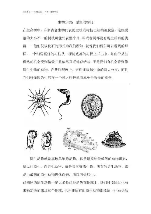 生物分类：原生动物