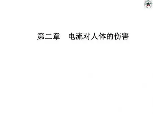 电气安全工程——第2章 电流对人体的伤害